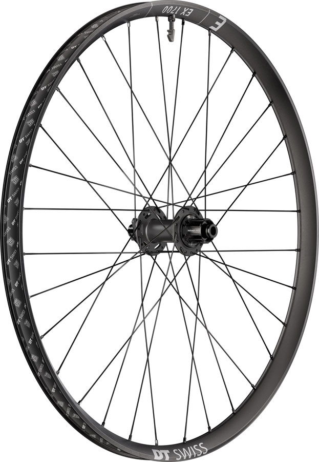 DT Swiss EX 1700 Classic 30 Rear Wheel - 29", 12 x 148mm, 6-Bolt, HG Slim, DEG 72 DF, Black