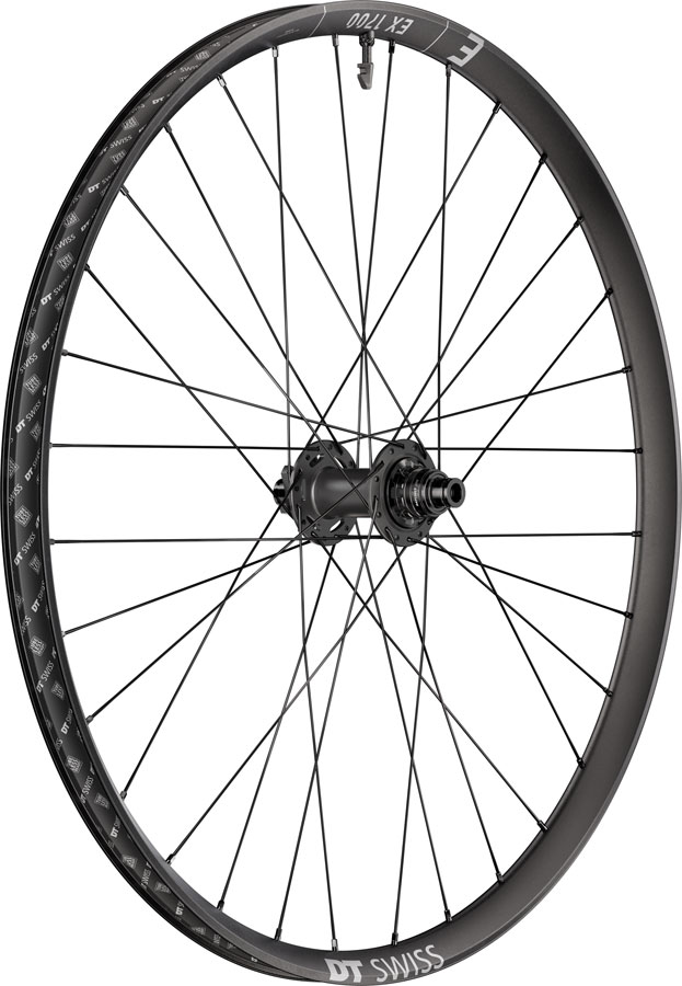 DT Swiss EX 1700 Classic 30 Rear Wheel - 29", 12 x 148mm, 6-Bolt, XD Slim, DEG 72 DF, Black